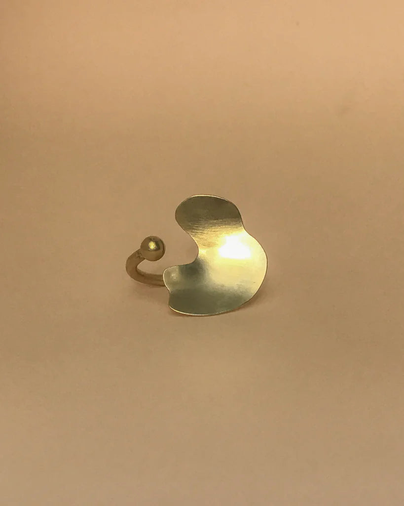 ANILLO PUNTO CURVA