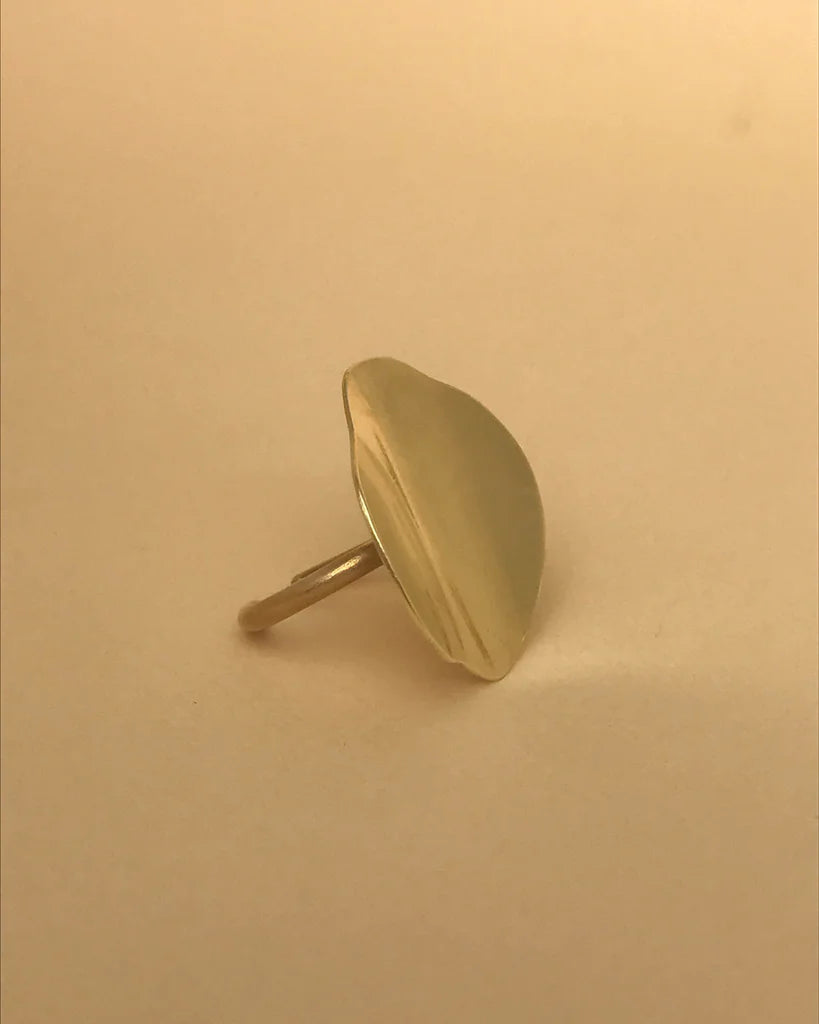 ANILLO ONDA