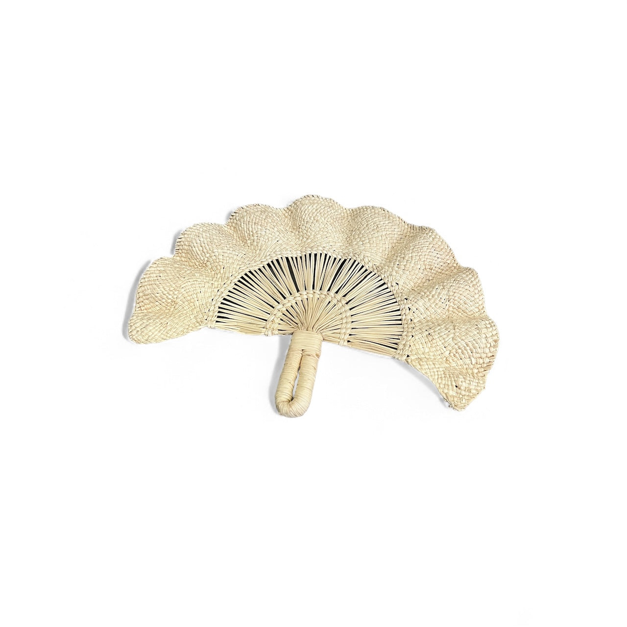 SCALLOP SHELL FAN