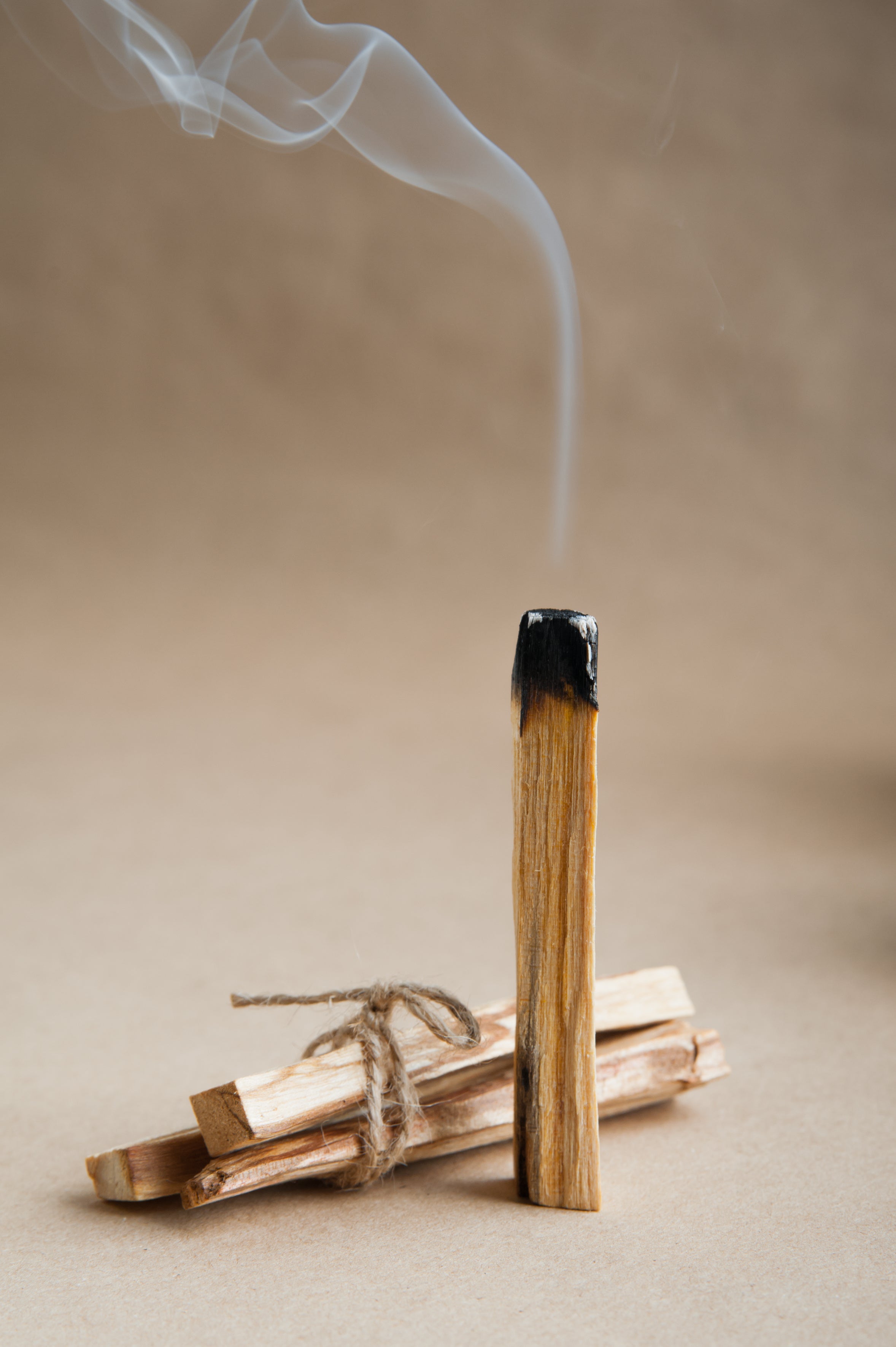 PALO SANTO