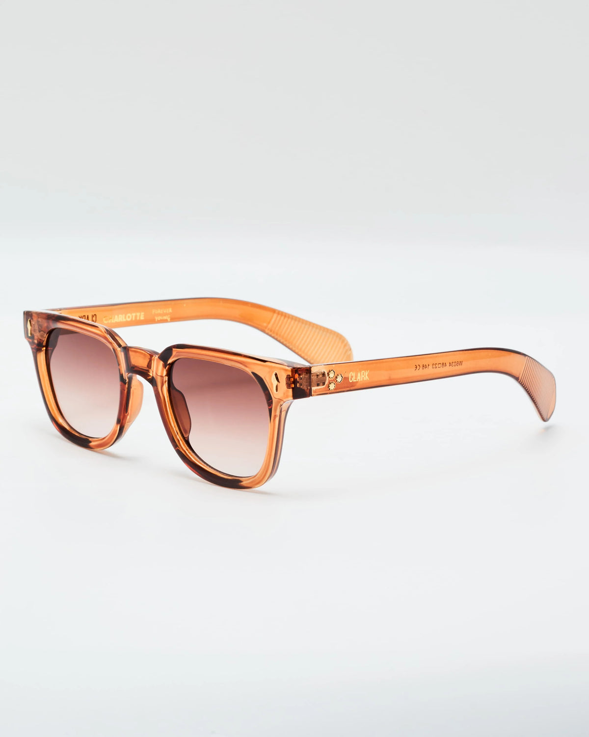 CHARLOTTE SUNGLASSES display picture 2